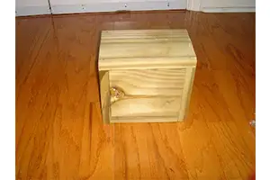 Wooden Box In Ahmedabad 